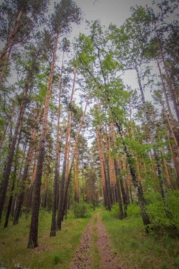 Hotel Nurlytau Borovoe Bagian luar foto